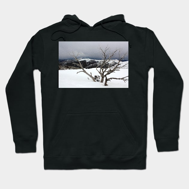 A snowstorm on a mountainside in Australia Hoodie by jwwallace